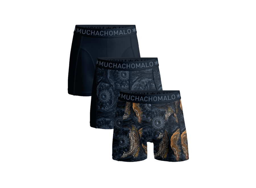 Boys 3-Pack Boxer Short Print/Print/Blue Circle Of Life
