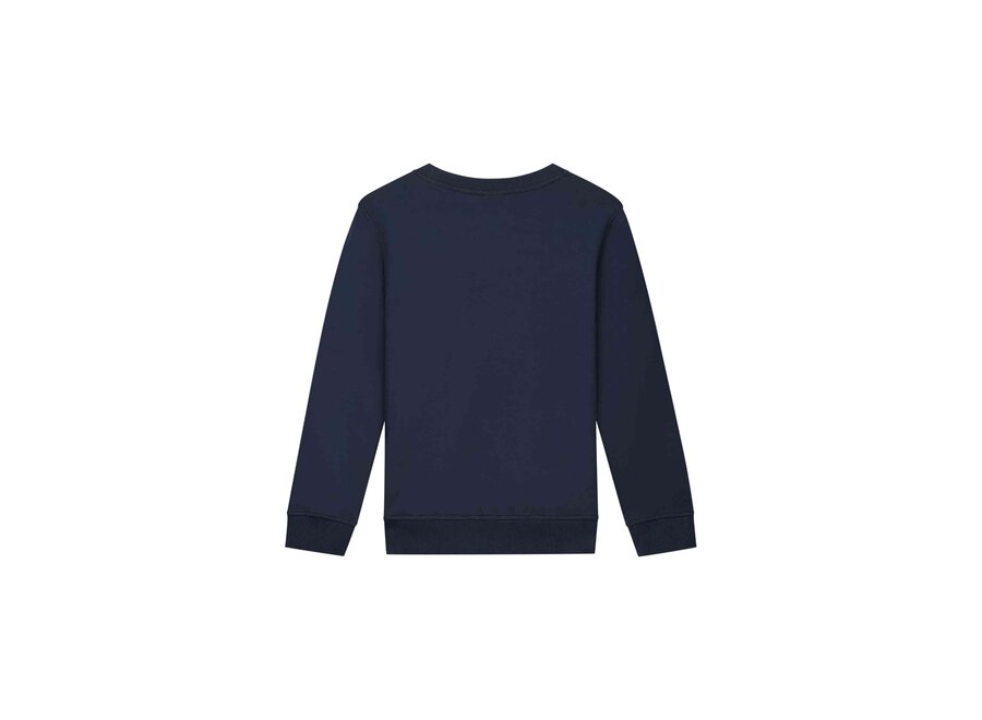 Counter Sweater  Navy/Bright Yellow Jongens Trui