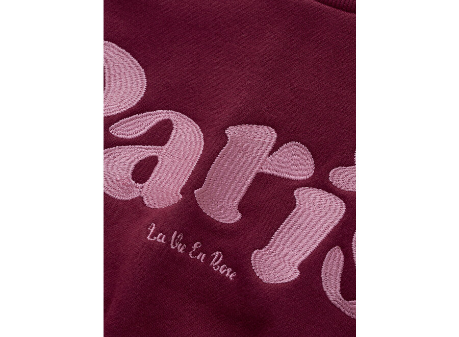 Sweater Crochet Burgundy Meisjes Trui