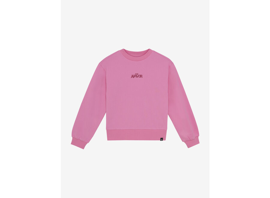 Sweater Print  Pink Meisjes Trui