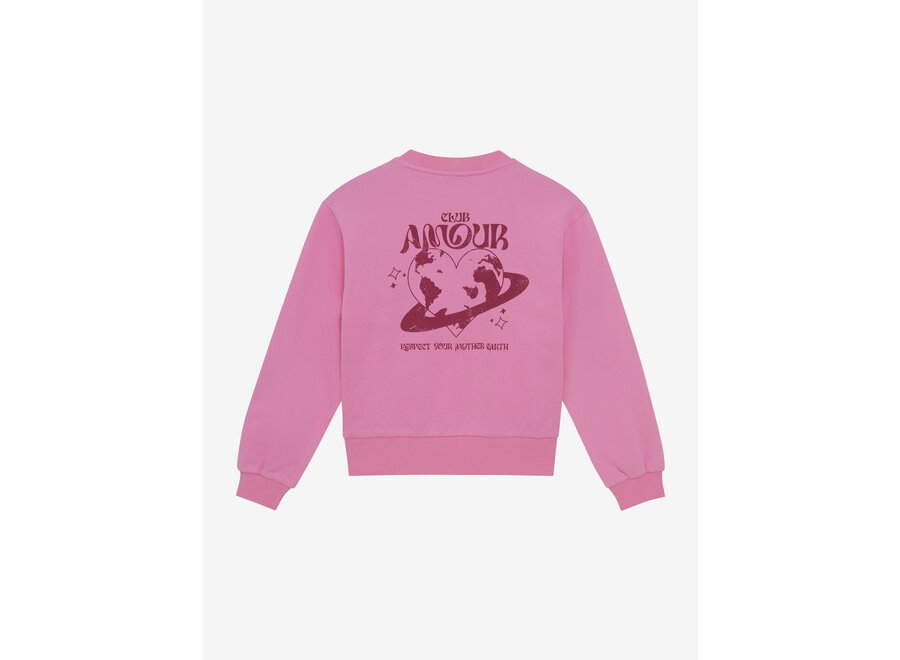 Sweater Print  Pink Meisjes Trui
