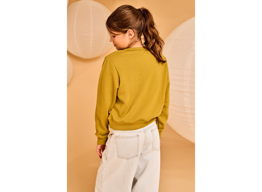 Bea Sweater Willow Green Meisjes Sweater