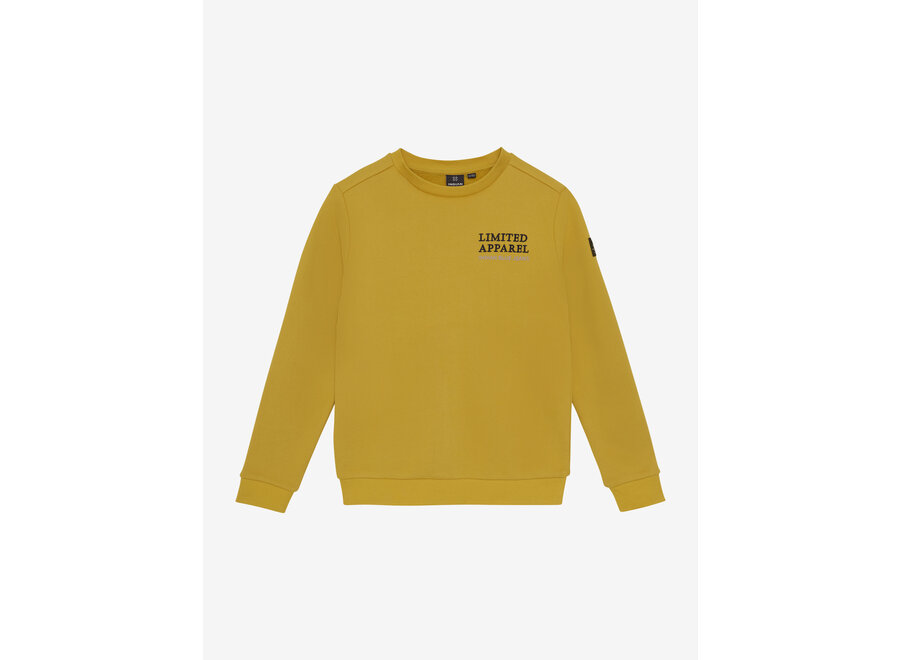 Sweater Limited Apparel Brown Jongens Trui