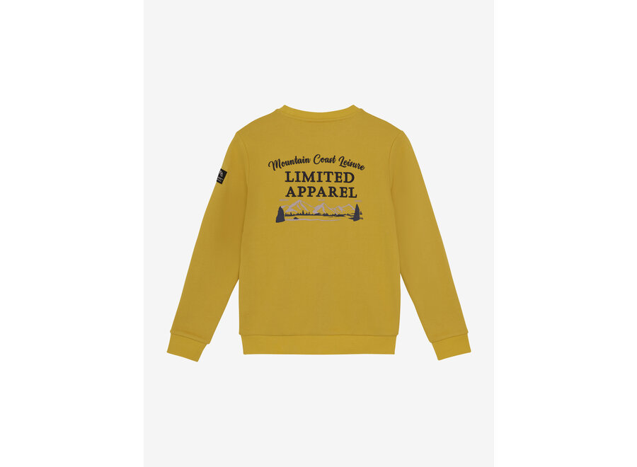 Sweater Limited Apparel  Brown Jongens Trui
