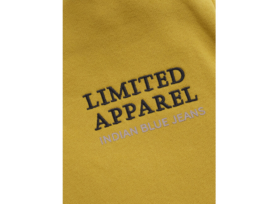 Sweater Limited Apparel  Brown Jongens Trui
