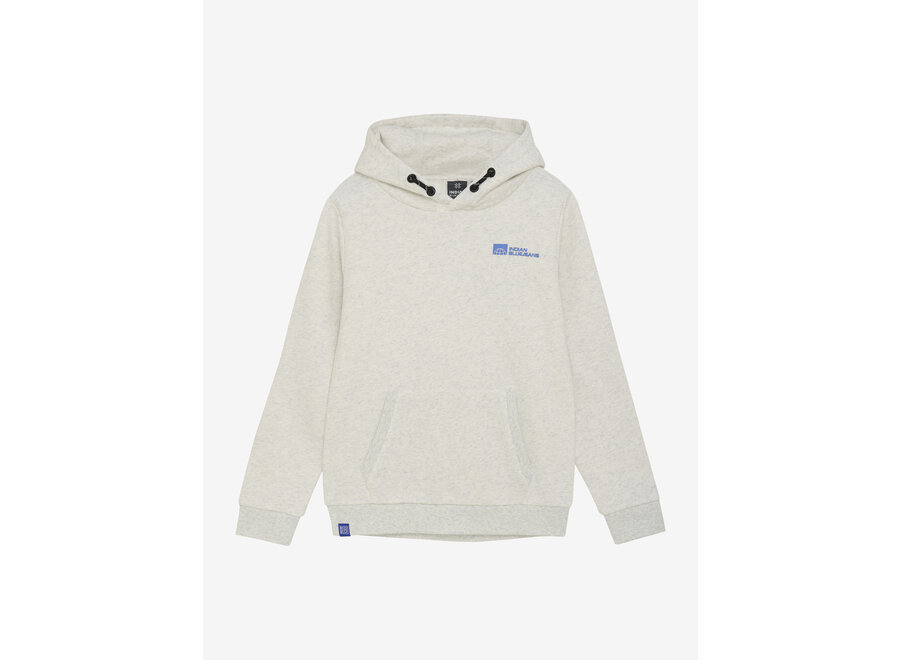 Hoodie Limited Apparel  Grey Jongens Trui
