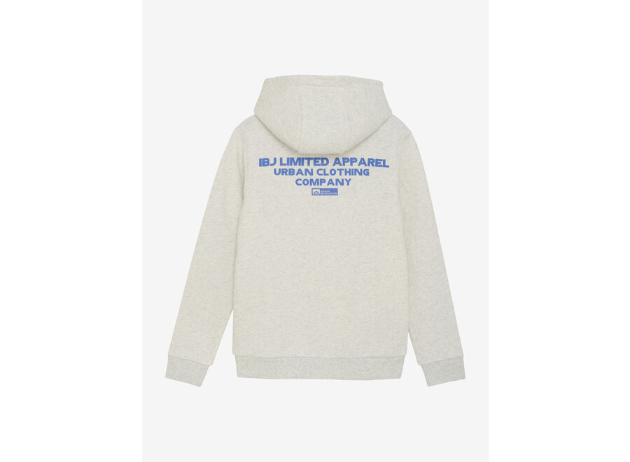 Hoodie Limited Apparel  Grey Jongens Trui