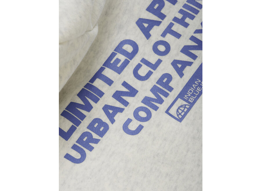 Hoodie Limited Apparel  Grey Jongens Trui