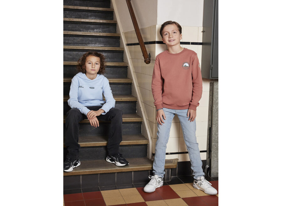 Loose Fit Sweat Chest Print  Rose Jongens Trui