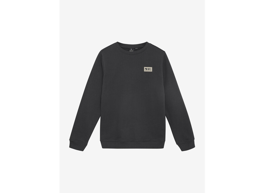 Sweater Chest and Backprint Grey Jongens Trui