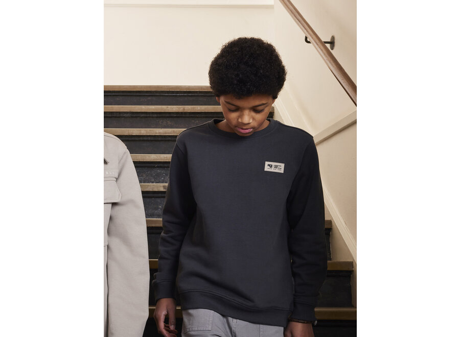 Sweater Chest and Backprint Grey Jongens Trui