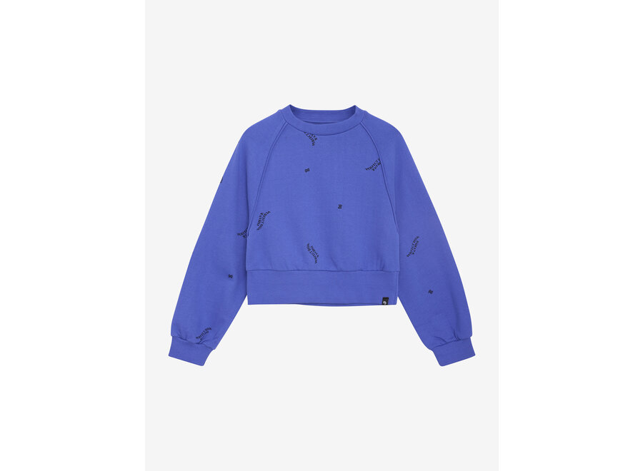 Sweater Raglan   Blue Meisjes Trui