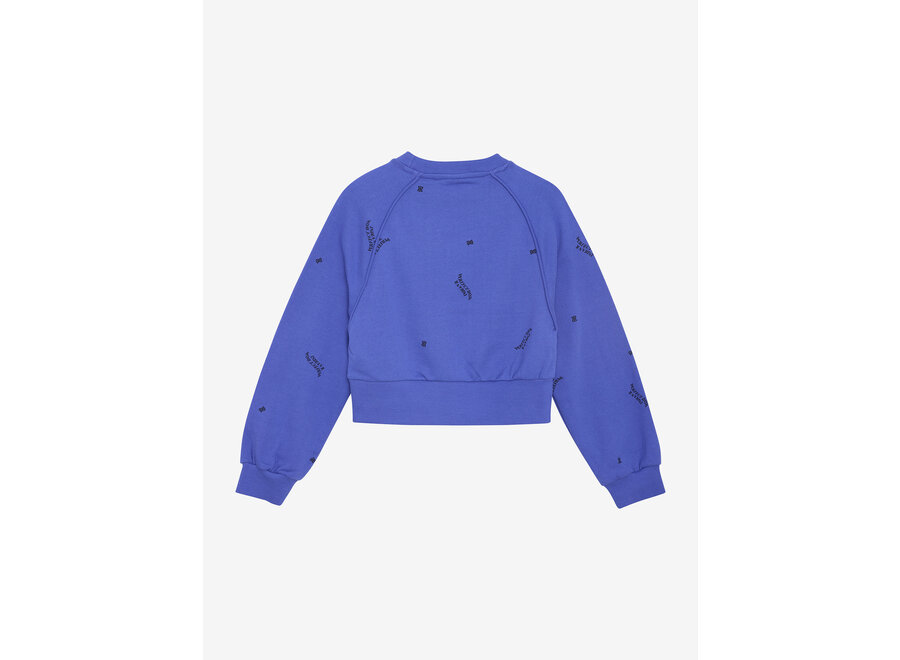 Sweater Raglan   Blue Meisjes Trui