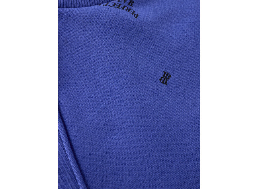 Sweater Raglan   Blue Meisjes Trui