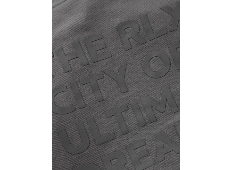 Sweater RLX Backprint  Grey Jongens Trui