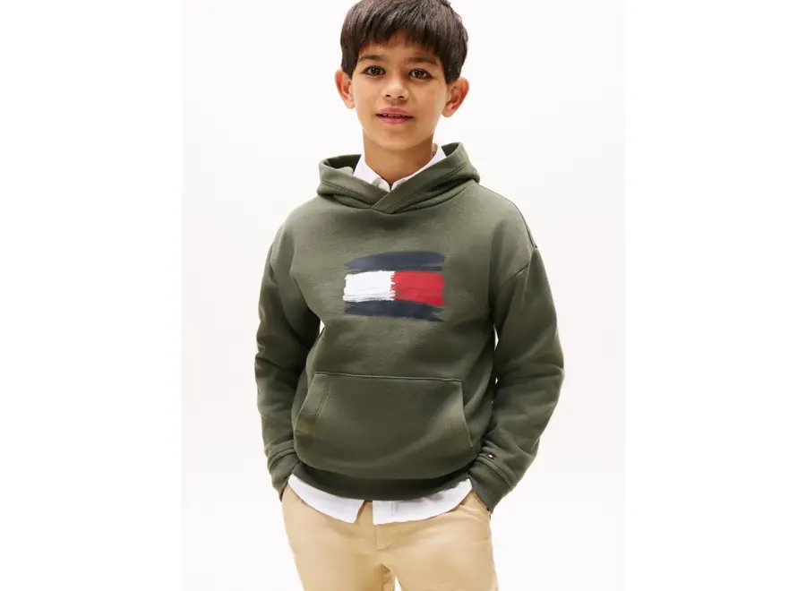 Flag Hoodie Pewter Green Jongens Trui