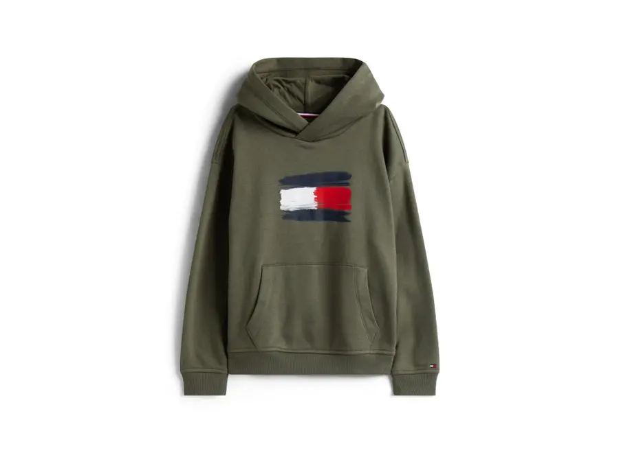Flag Hoodie Pewter Green Jongens Trui