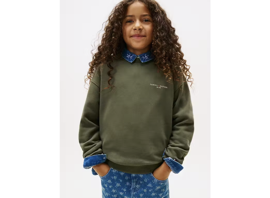 Mini Corp C-Neck Swe Pewter Green Jongens Trui