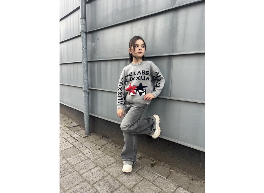 Knitted Jacquard Pullover  Soft Grey Melange Unisex Vest