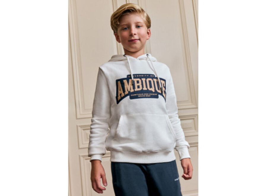 Vincent Hoodie Ecru Jongens Hoodie