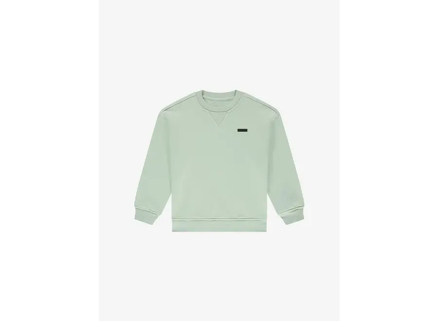 Hero Oversized Sweatshirt  Whisper Mint Jongens Trui