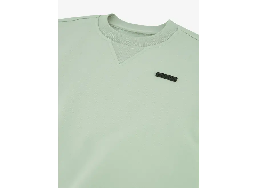 Hero Oversized Sweatshirt  Whisper Mint Jongens Trui