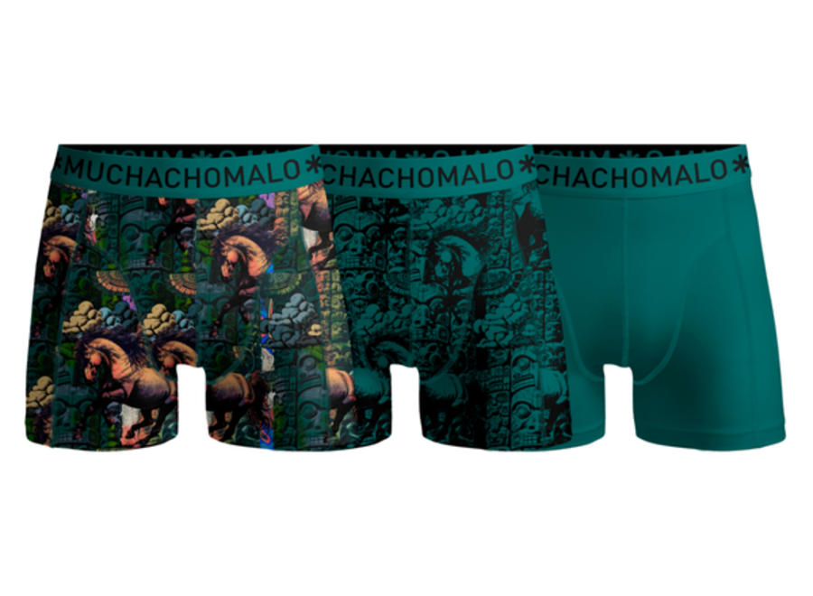 Boys 3-Pack Boxer Shorts Totemhorse Print/Green Jongens Ondergoed