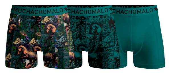 Boys 3-Pack Boxer Shorts Totemhorse Print/Green Jongens Ondergoed