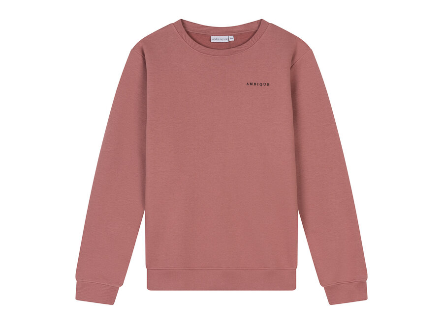 Kris Crew Neck  Maroon Jongens Sweater