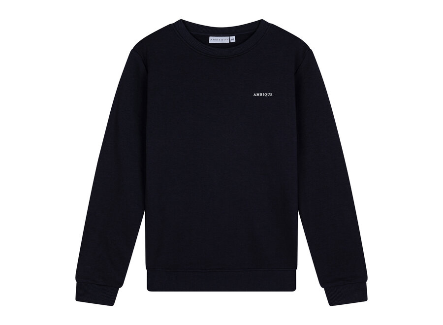 Kris Crew Neck  Navy Jongens Trui