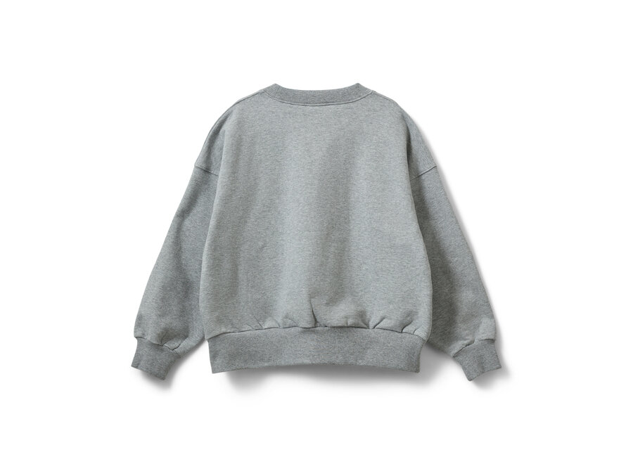 Elisy Sweatshirt  Grey Melange Meisjes Trui