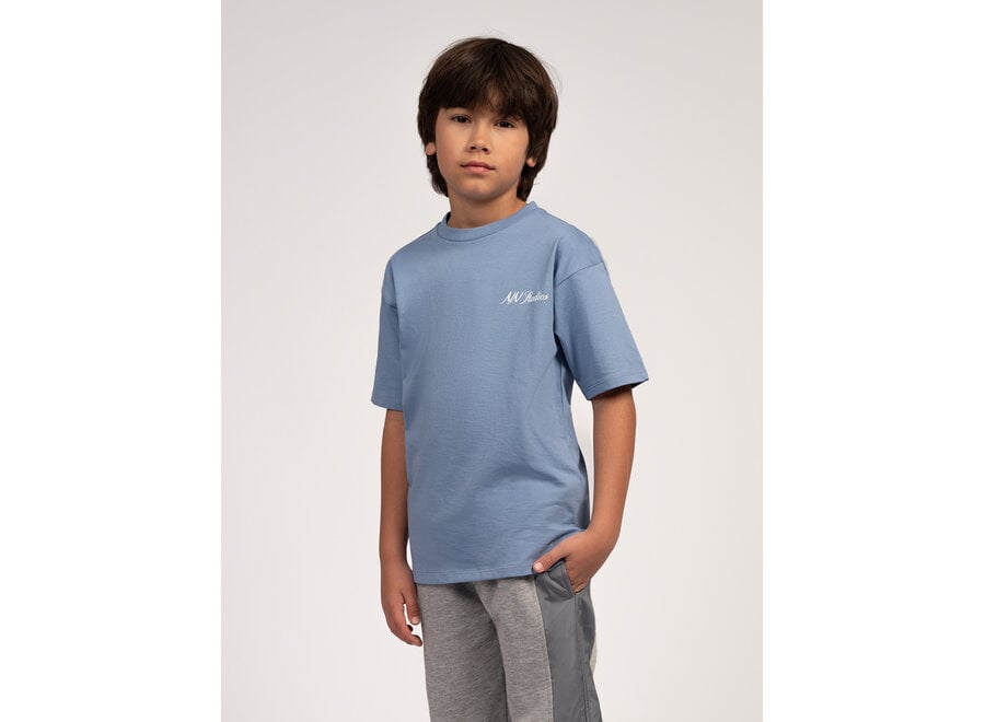 Phoenix T-shirt  Steel Blue Jongens T-shirt