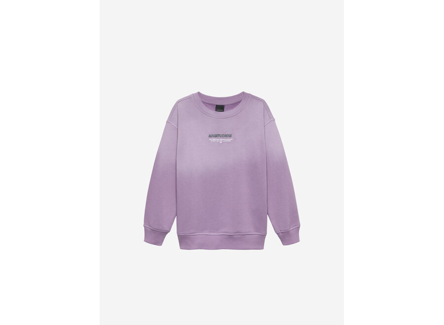 Boston Sweatshirt   Purple Plum Jongens Trui