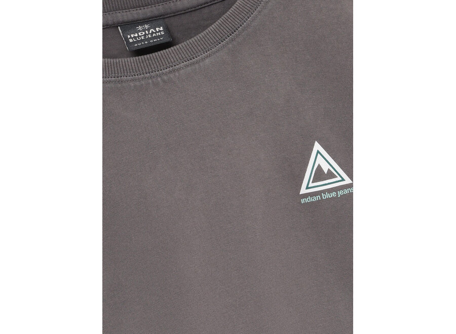 Loose Fit T-shirt IB Washed Grey Jongens T-shirt
