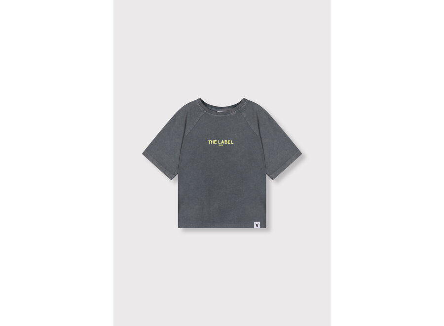 Kids Knitted Raglan Logo T-Shirt  Light Grey Unisex T-shirt