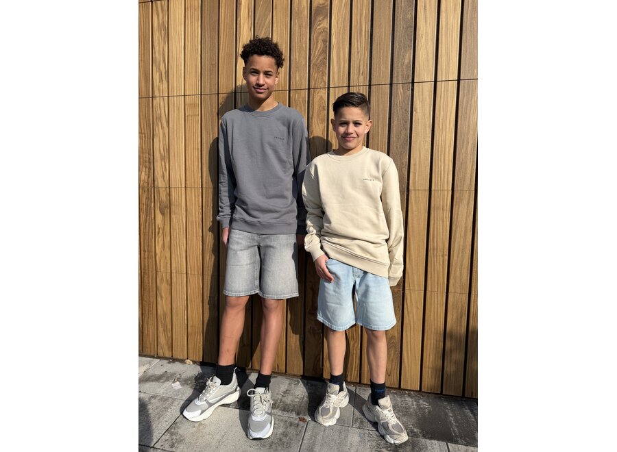 Sweater Kris Stone grey