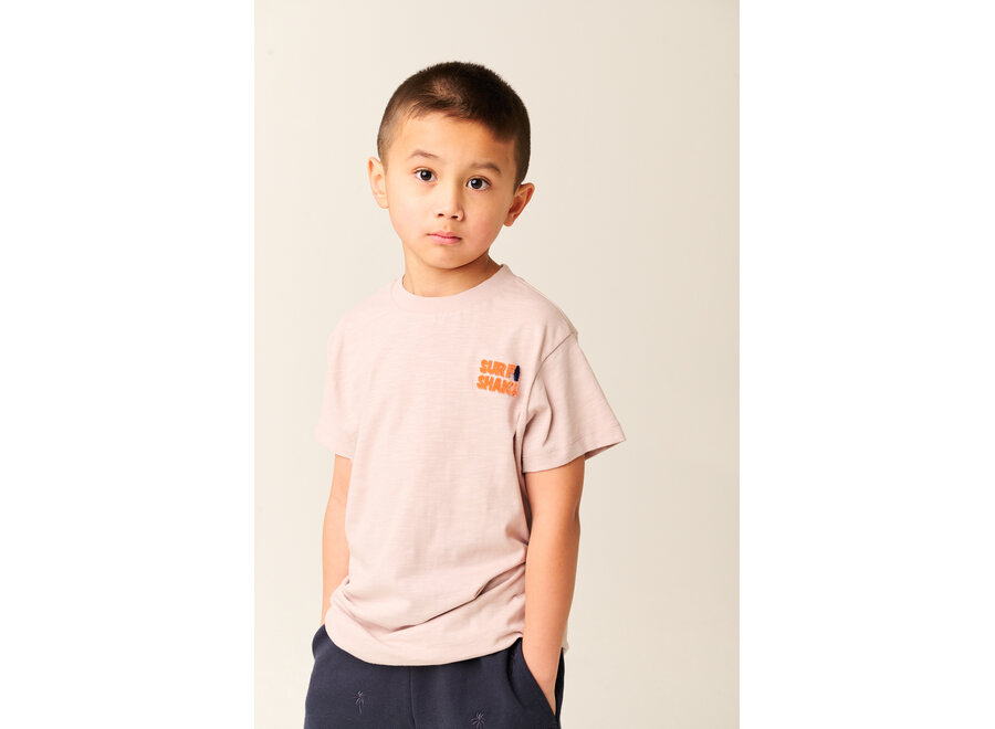 TND Sandy Bay Cloud Gray Jongens T-shirt