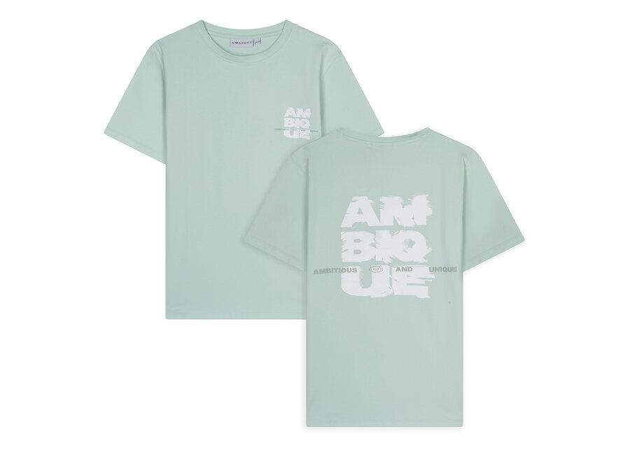 Damon  Mint green Jongens  T-Shirt