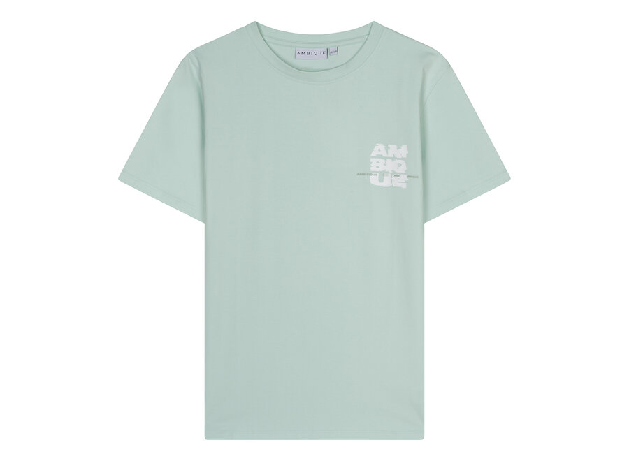 Damon  Mint green Jongens  T-Shirt