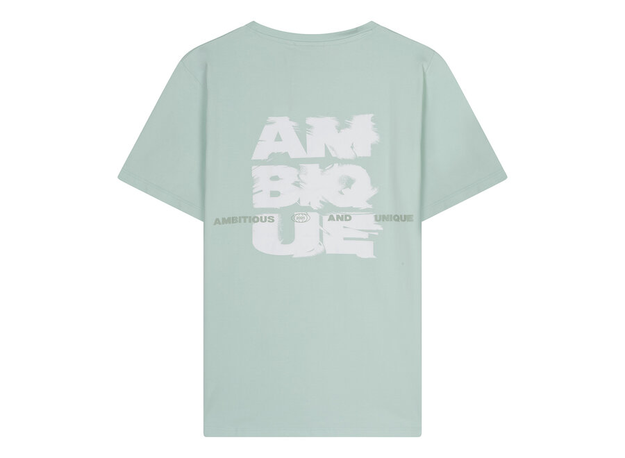 Damon  Mint green Jongens  T-Shirt