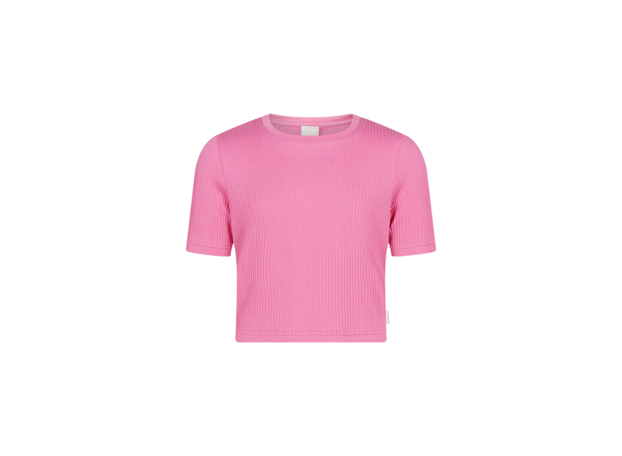 Famke Pes  Bright Rose Meisjes Top