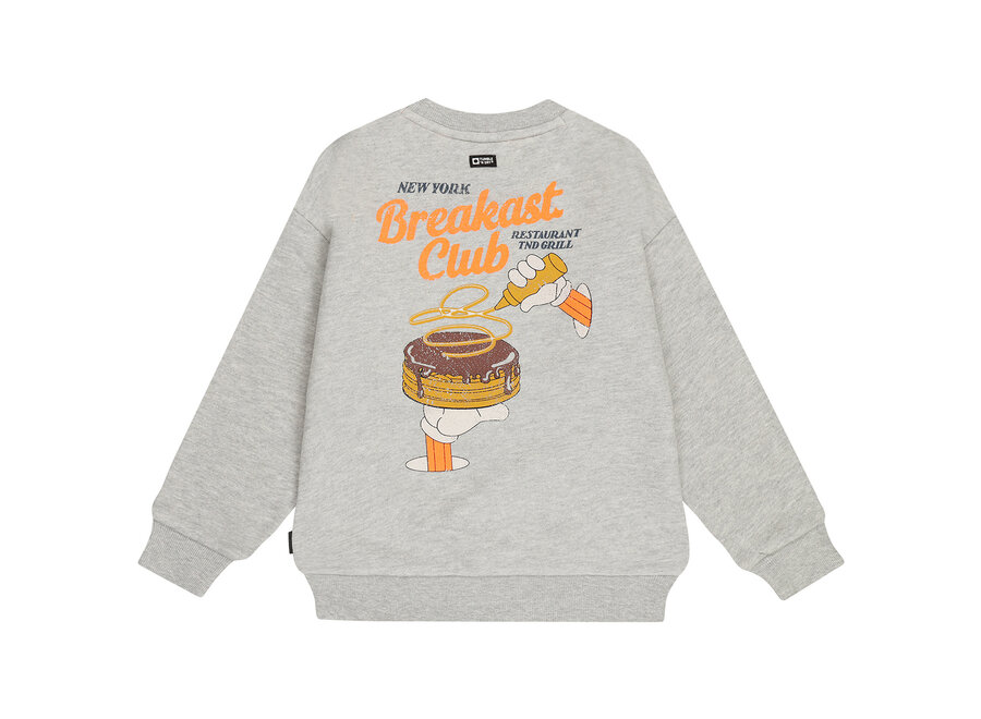 TND Durham  Light Grey Melange Jongens  Trui