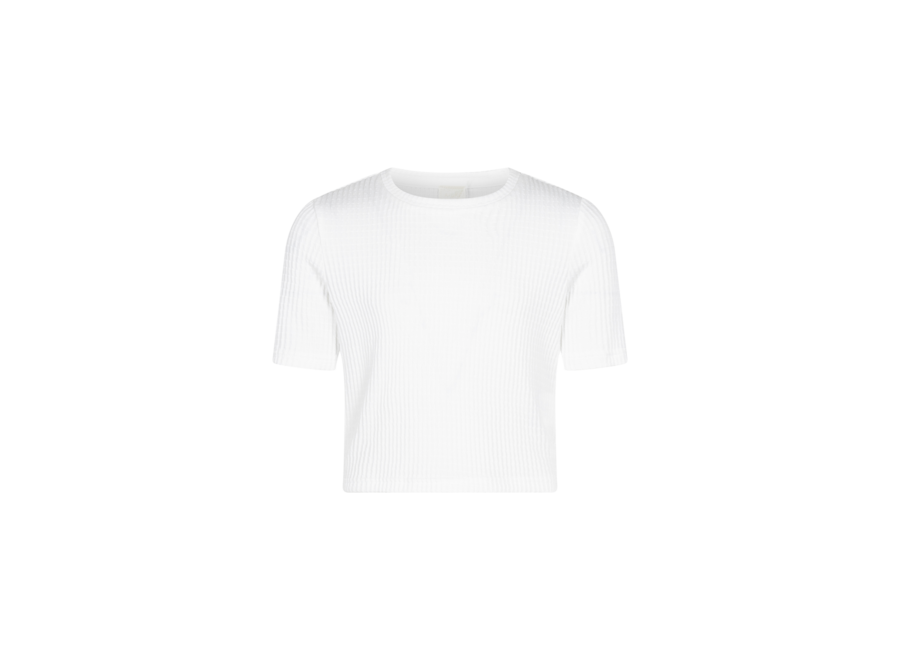 Famke Pes  Les Blancs Meisjes Top