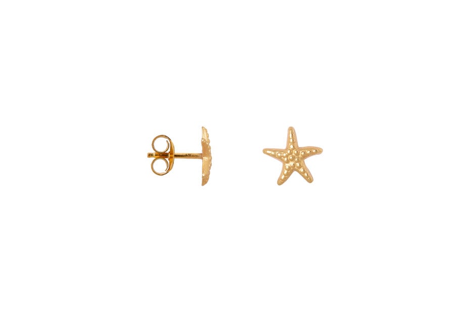 Mini sea star gold