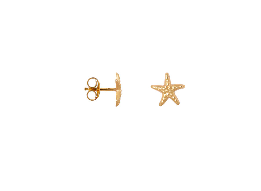 Mini sea star gold