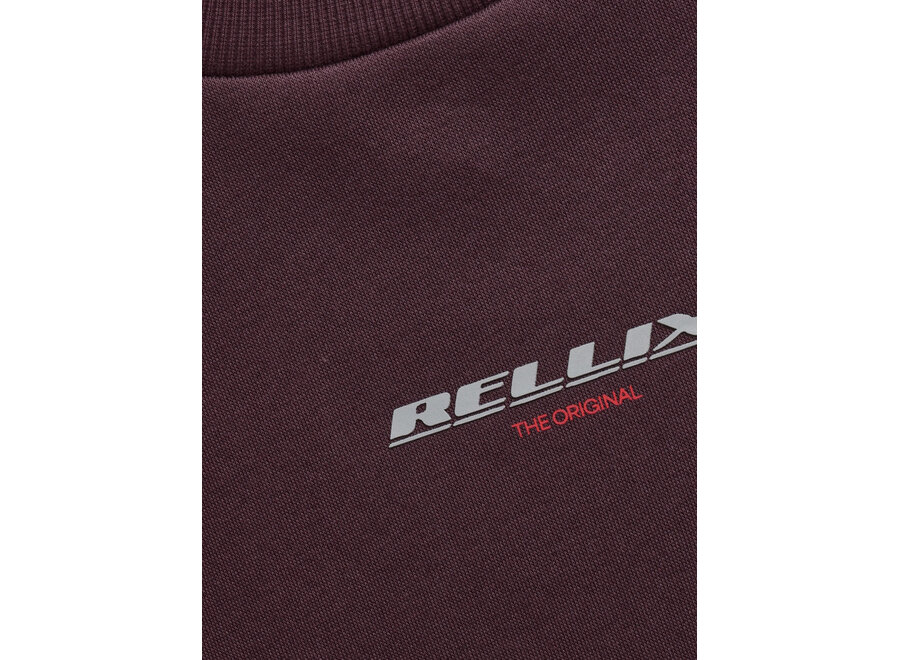 Sweater Rellix Backprint Brush  Dusty Bordeaux Jongens  Trui