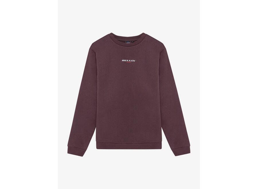 Sweater Rellix Backprint Brush  Dusty Bordeaux Jongens  Trui