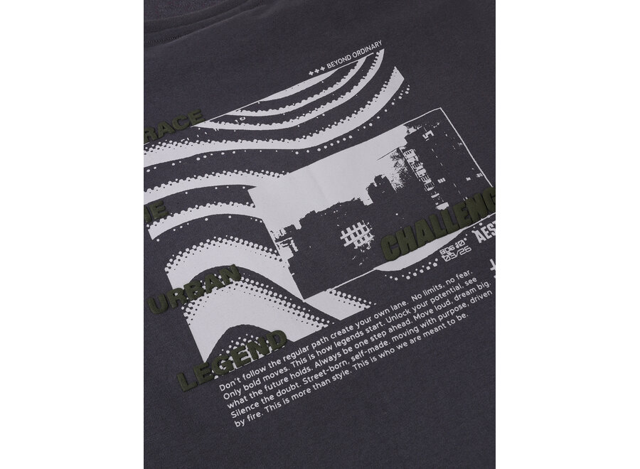 Loose Fit T-Shirt Backprint  Dusty Dark Purple Jongens  T-shirt