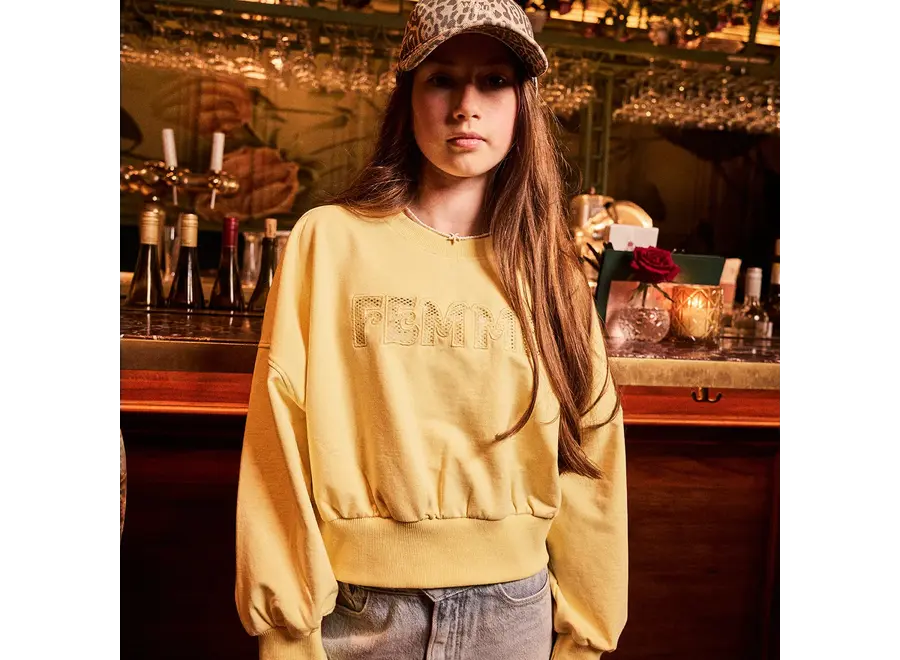 Sweater Mesh Yellow Meisjes  Trui
