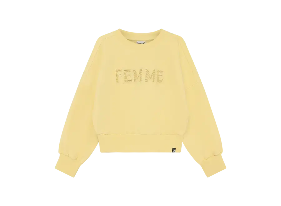 Sweater Mesh Yellow Meisjes  Trui